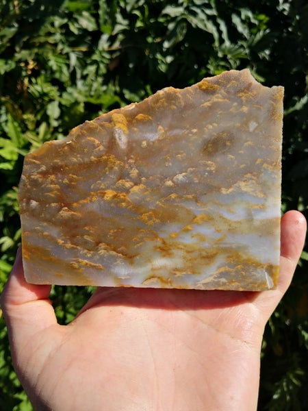 Picture Agate NZ carving slab Stunning pattern UV Reactive Tiki slab Carousel 15