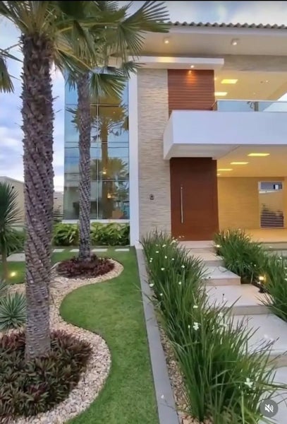 6x Dietes grandiflora "Fairy Iris" Carousel 5