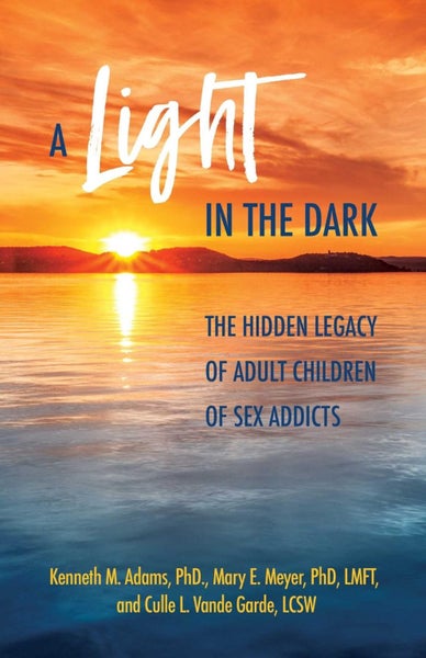 A Light in the Dark by Kenneth M. Adams - Paperback Carousel 1