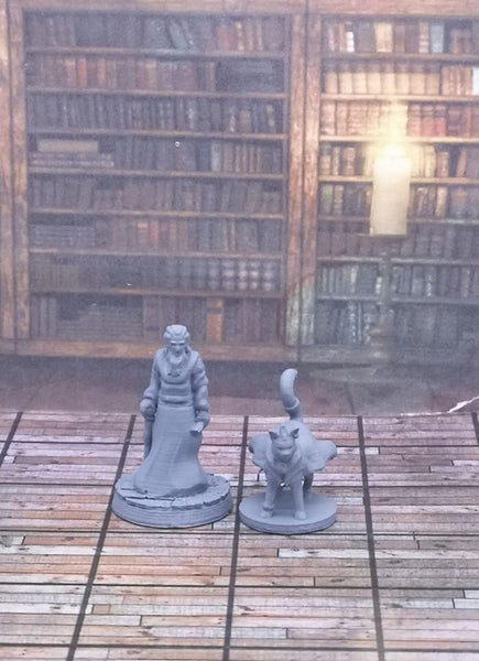 Townsfolke Miniatures Set #5 Wise Ones Dungeons and Dragons dice4dungeons Carousel 2