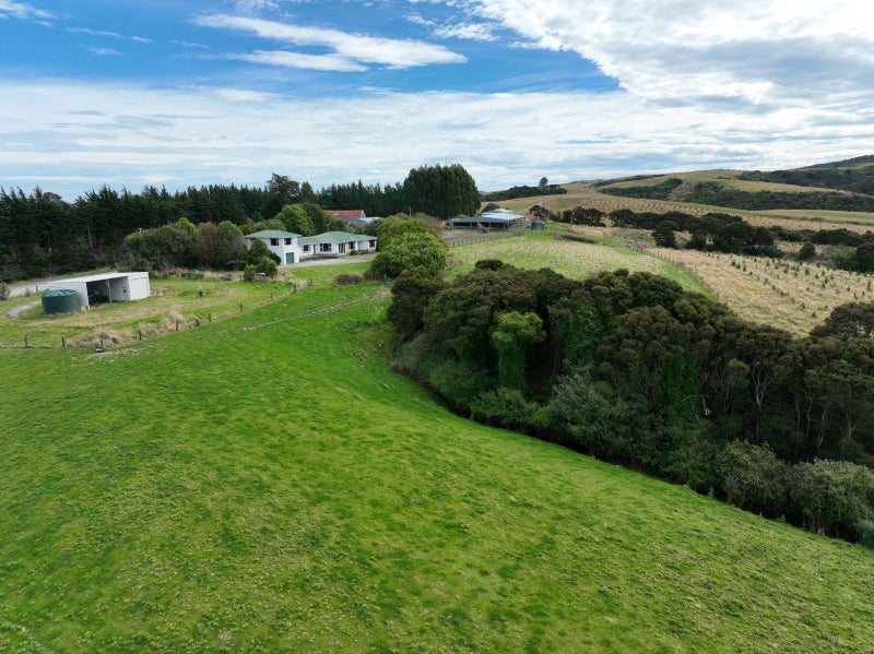 Image 1 of 17