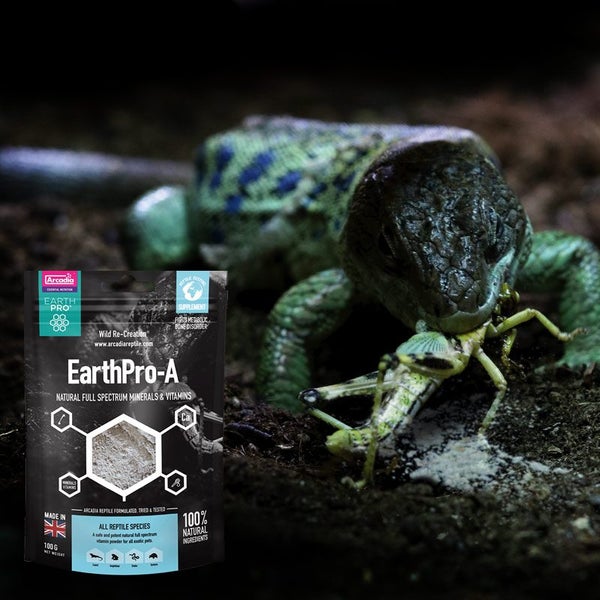 Arcadia EarthPro A Reptile Vitamin & Mineral Powder 100g Carousel 2