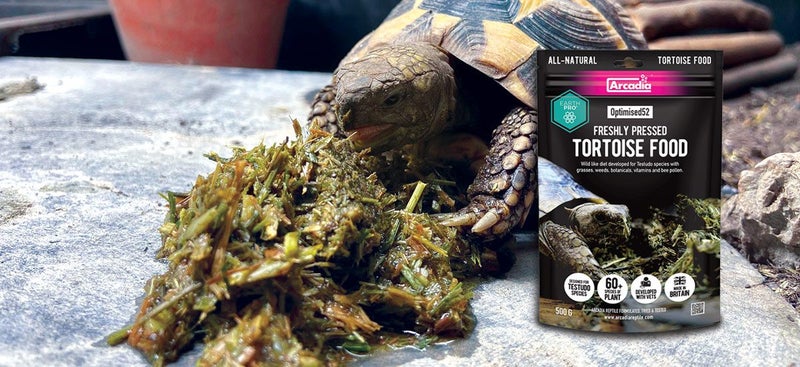 Arcadia EarthPro Optimised52 Tortoise Food 500g Carousel 2