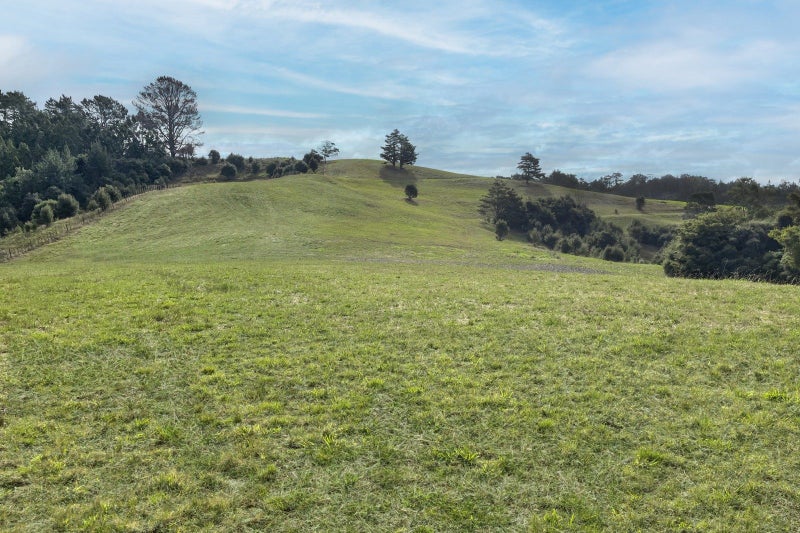 Image 1 of 13