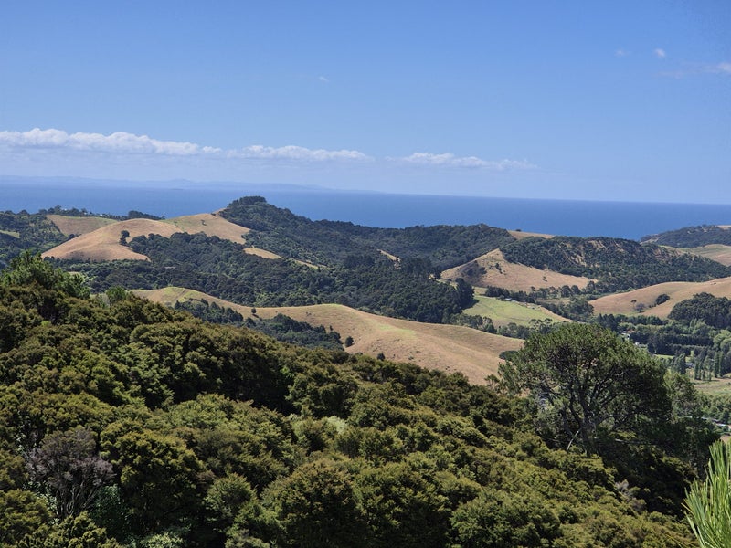 Image 1 of 19