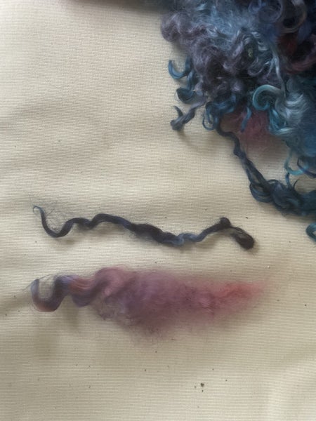 * BEAUTIFUL GOTLAND LOCKS HAND DYED 100 grams NEW PAUA Carousel 2