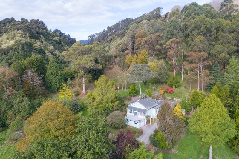 Image 1 of 50
