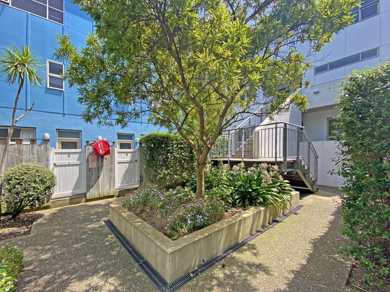 Image 1 of 20