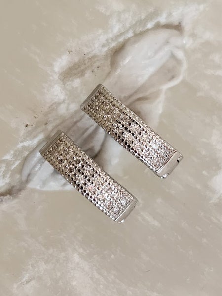 Moissanite Diamond (D Colour, VVS1 Clarity) Earrings in solid 925 Silver Carousel 2