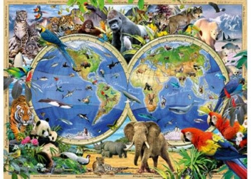 Ravensburger - World of Wildlife Puzzle 300pc Carousel 2