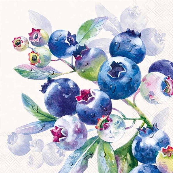 IHR Blueberries Cocktail Napkin Set Cream 20pce Carousel 1