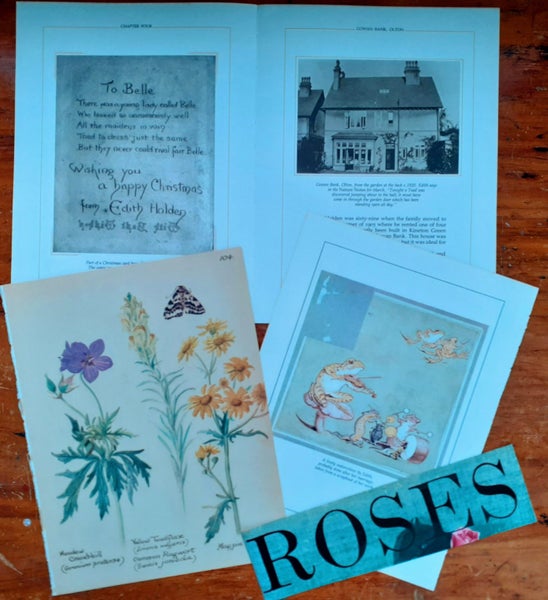 Bulk Beautiful Botanical Book Pages & Craft Paper Pack. Great for Junk Journals Carousel 2