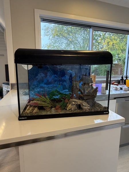 Fish Tank Carousel 1