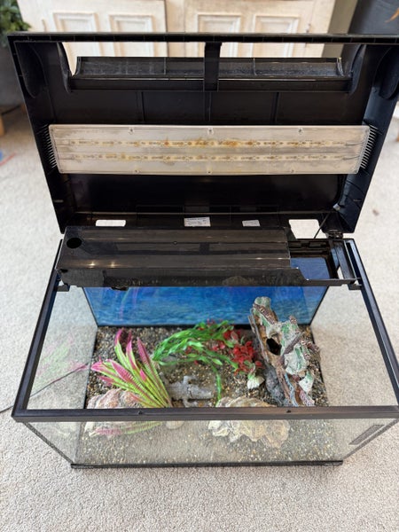 Fish Tank Carousel 2