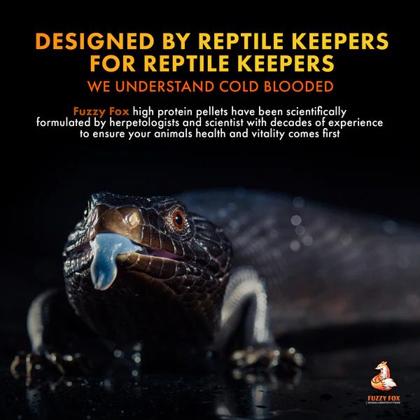 Fuzzy Fox Reptile Pellets 400g Carousel 2