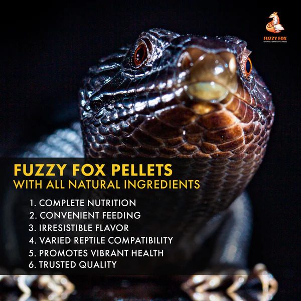 Fuzzy Fox Reptile Pellets 400g Carousel 4