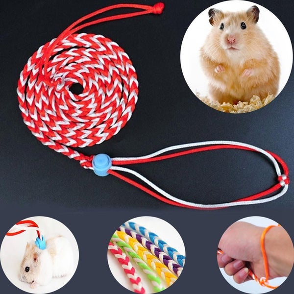 1PC Rat Pet Lead Pet Supplies Hamster Leash Mouse Collar Rope Hamster Harness Carousel 1