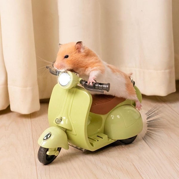 Degree Rotating Lighting Electric Pet Supplies Scooter Hamster Toy Motorcycle Carousel 1