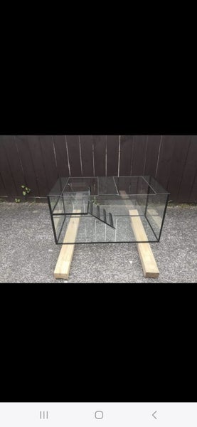 Turtle tank Carousel 1