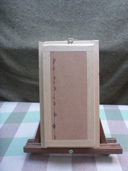 Stunning Framed Real Taxidermy Desert Agama Lizard Natural History Carousel 3