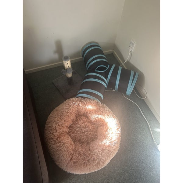 Kitten / cat accessories 3-way tunnel scratch pole and bed ONLY $5 RES Carousel 1