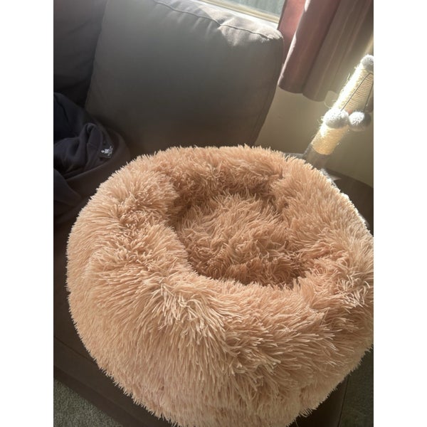 Kitten / cat accessories 3-way tunnel scratch pole and bed ONLY $5 RES Carousel 2