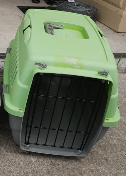 Green Cat Cage Carousel 1