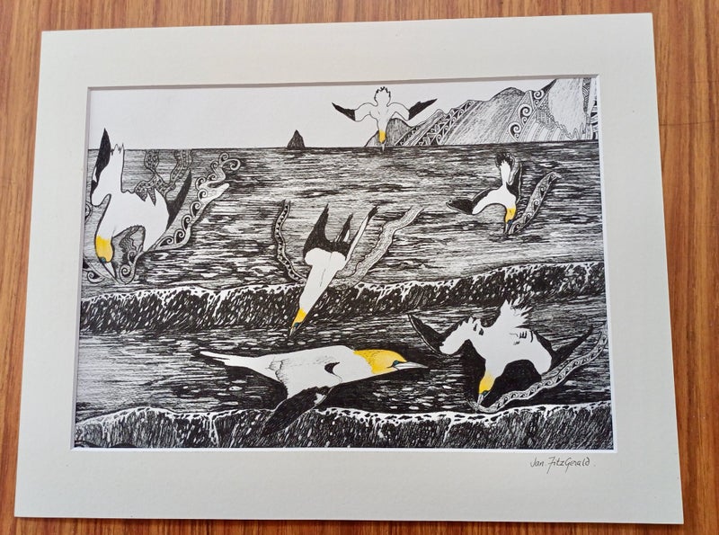"Gannet hunt" by Jan FitzGerald Carousel 1