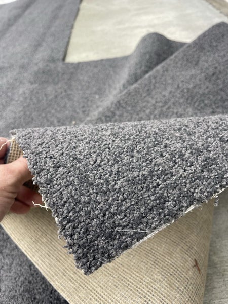 Brand New Carpet Carousel 2