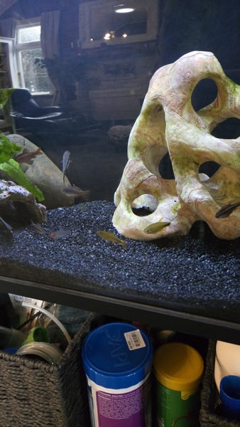 Fluval 123L fish tank and stand Carousel 5