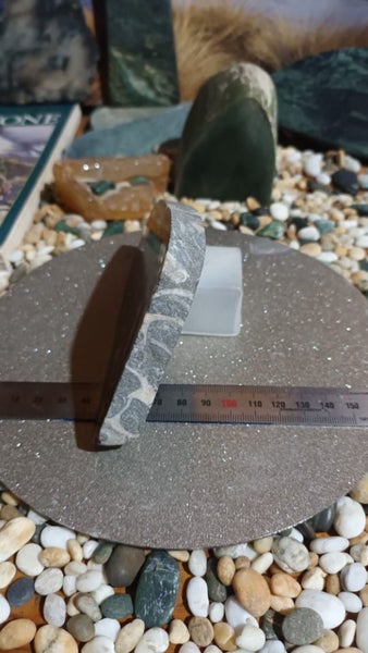 Rock Fossil Slab Carousel 2