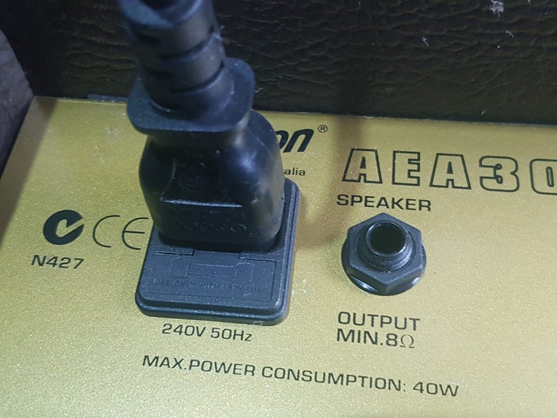 Ashton AEA 30. Acoustic gtr amp w/ mic input & CD input. Great FX. 30 watts.62863235682561111