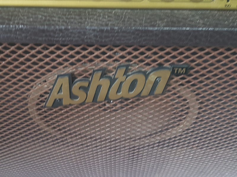 Ashton AEA 30. Acoustic gtr amp w/ mic input & CD input. Great FX. 30 watts.62863235682561113