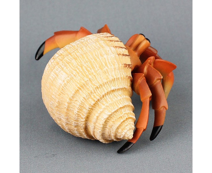 Simulation Hermit Crab Marine Animal PVC Model Desktop Decor Education Kids Carousel 7