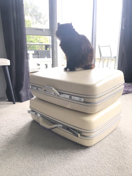Retro samsonite sutitcases Carousel 1