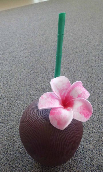 Imitation coconut drinking vessel(A) Carousel 1