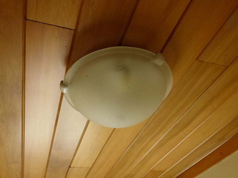 Retro Ceiling light 9 inch Carousel 1
