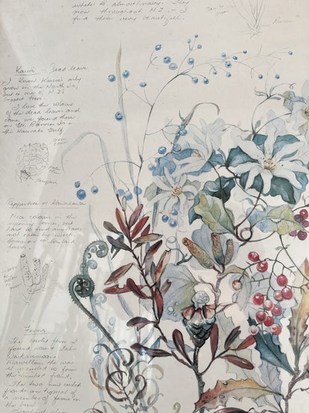 Nz art Nz native plants by Joyce Blake . Carousel 5