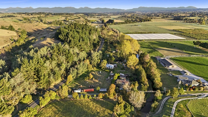 Image 2 of 10