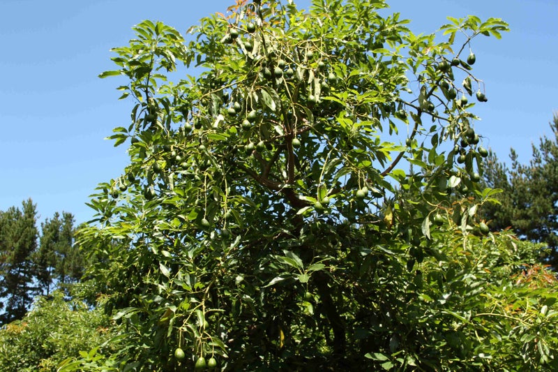 Image 1 of 18