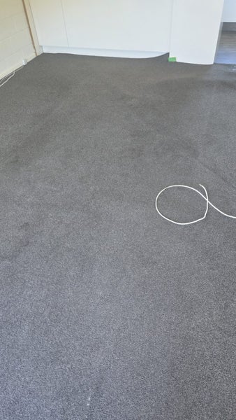 Carpet Carousel 5