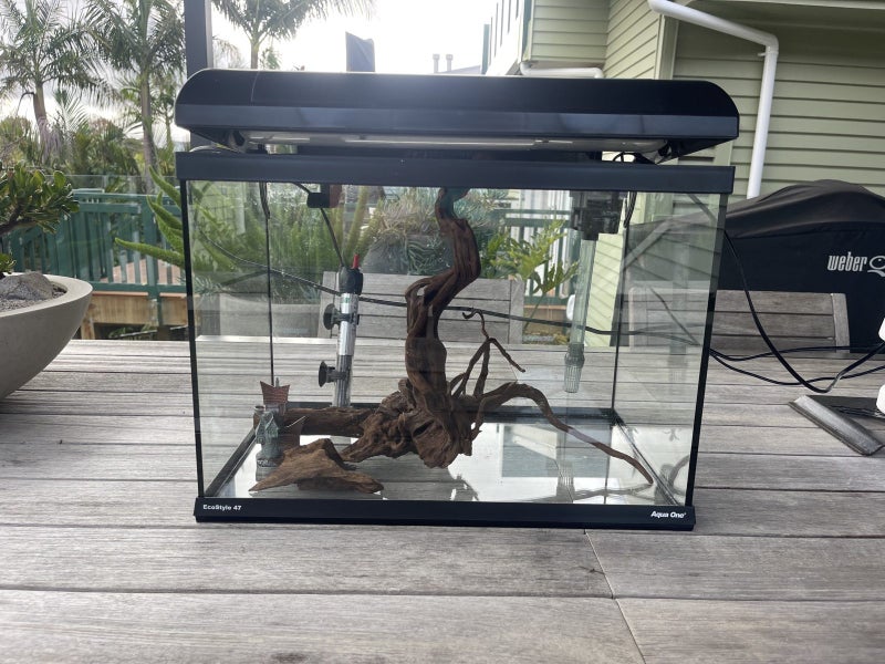 Fish Tank Tropical 28 litres starter pack with voucher Carousel 1
