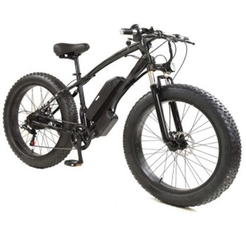 Electric Bike Carousel 1