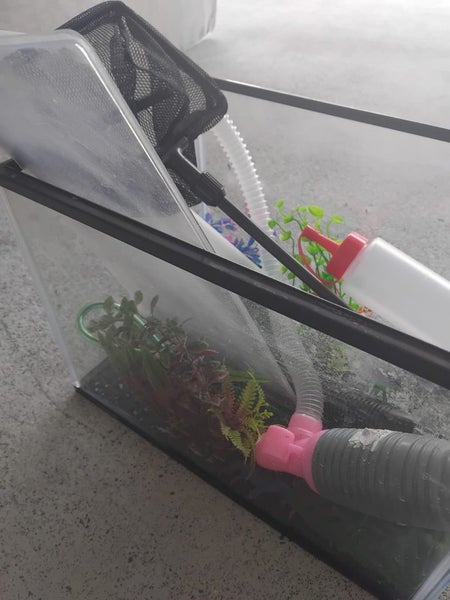 Fish tank and equipment Carousel 2