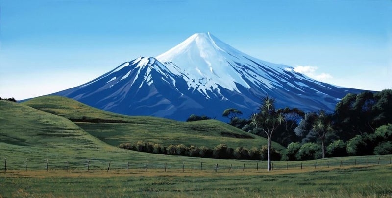 FREE DELIVERY: Huge stretched canvas print by Linelle Stacey: Taranaki Carousel 1