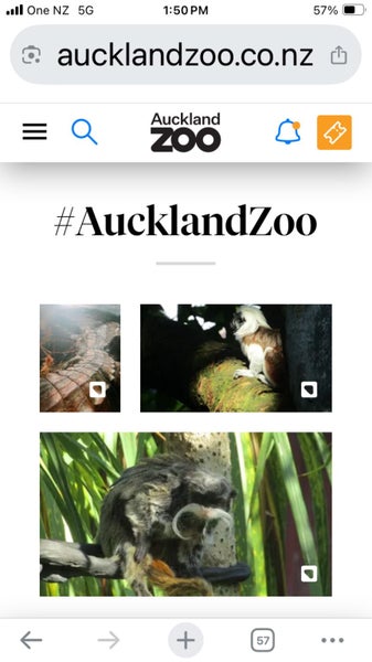 Auckland Zoo Family Tickets Carousel 1