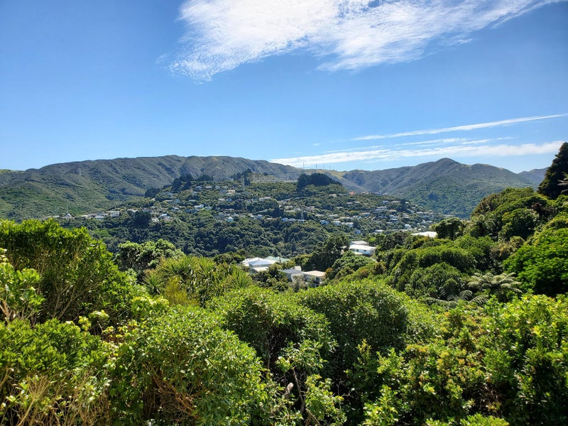 Image 1 of 10