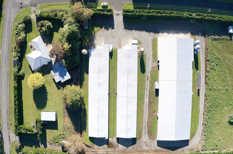 Outstanding Poultry Farm Rolleston Carousel 1