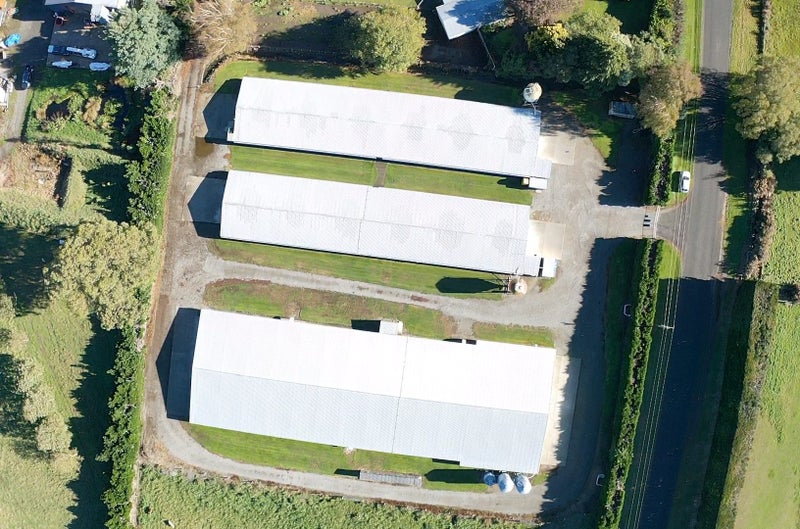 Outstanding Poultry Farm Rolleston Carousel 3