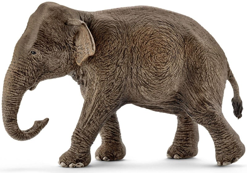 Schleich Wild Life - Asian Elephant Female Carousel 1